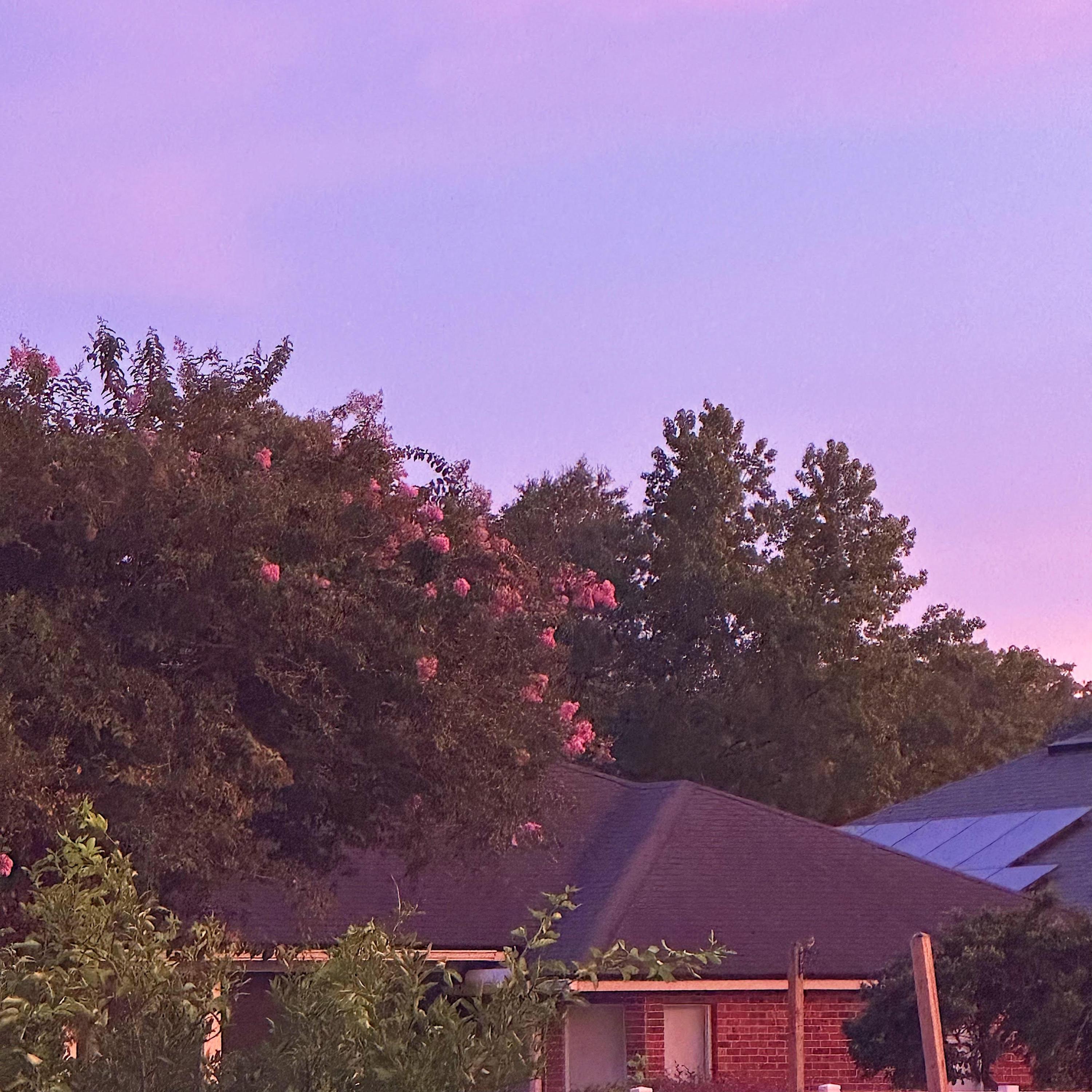 I THINK I FELL IN LOVE