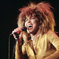 Tina Turner - The Best (instrumental)