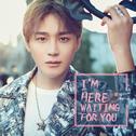 I'm Here Waiting For You专辑