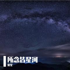 所念皆星河