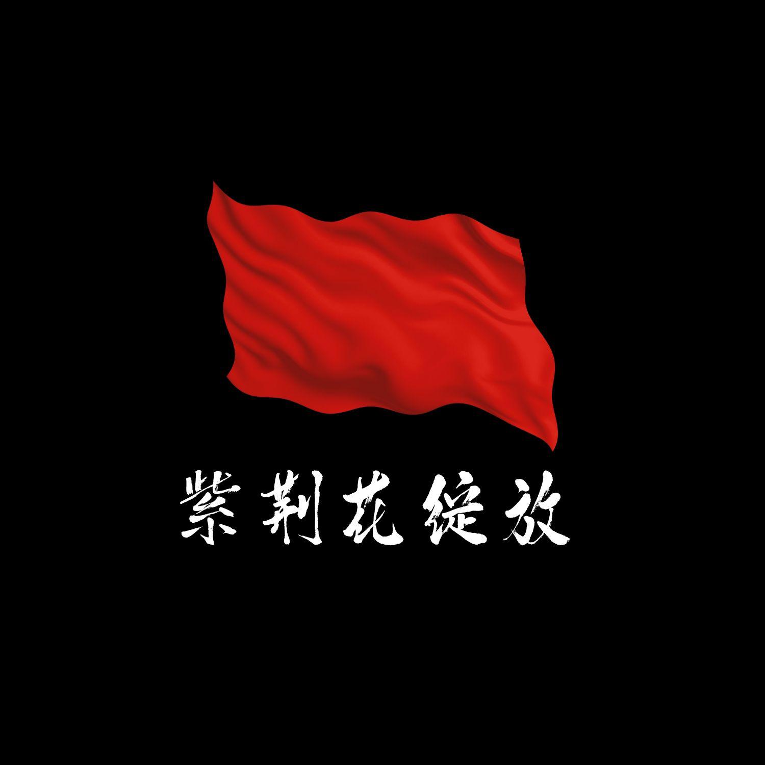 紫荆花绽放