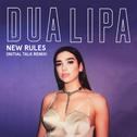 New Rules (Initial Talk Remix)专辑