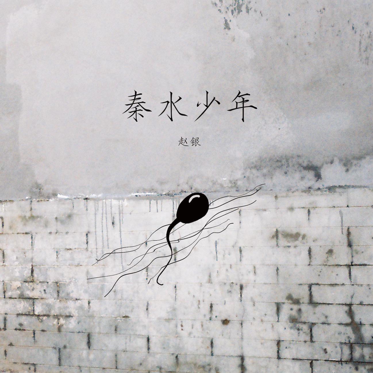 秦水少年专辑