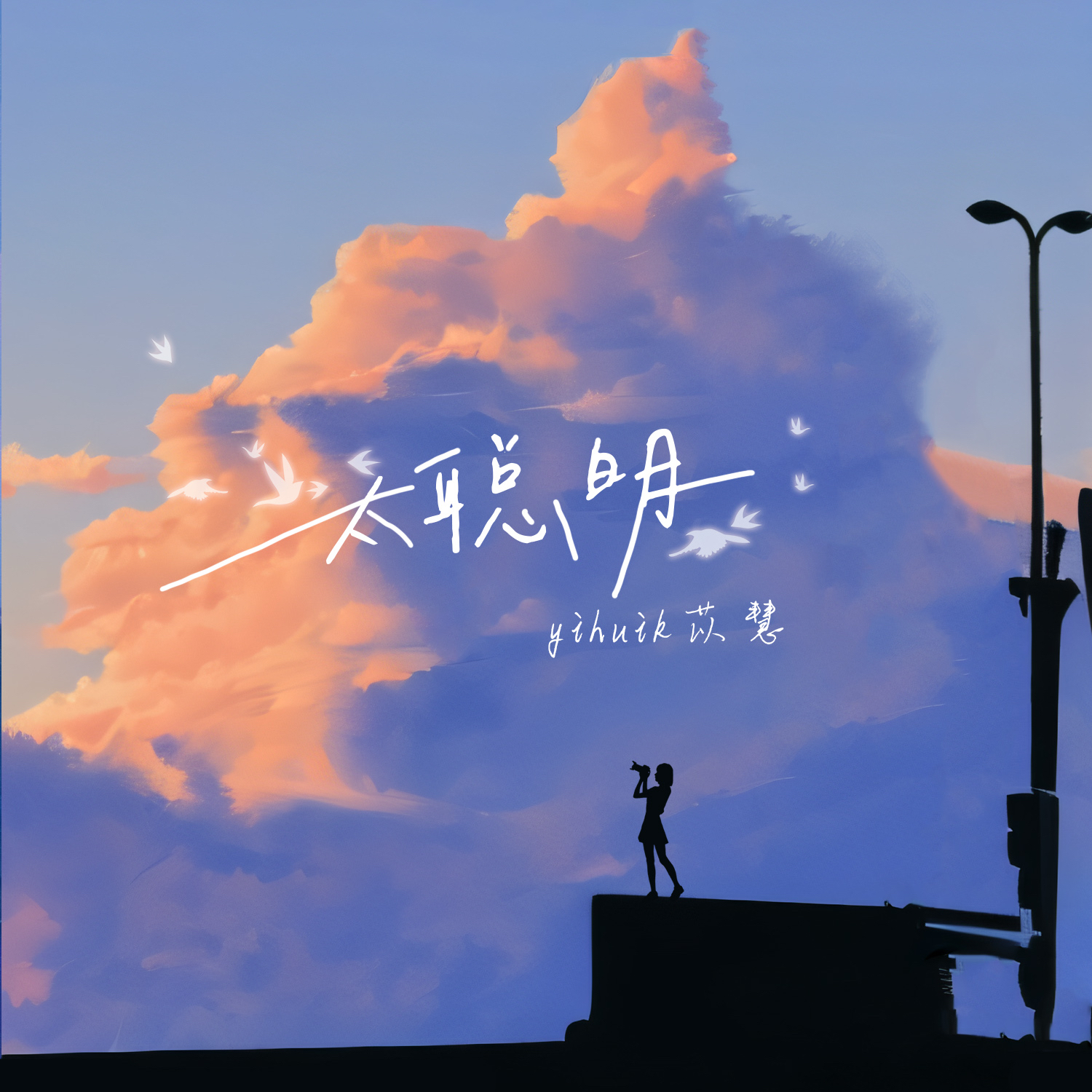 太聪明·2024