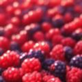 Mulberry