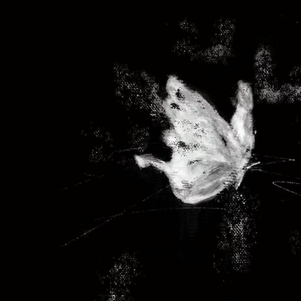 弱水三千（08）