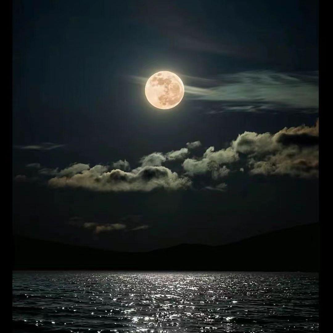 若是月亮还没来（酷酷的毛 remix）