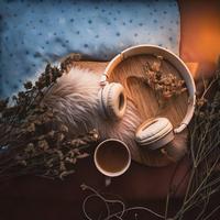 Dreaming with Lofi: Soothing Sleep Melodies