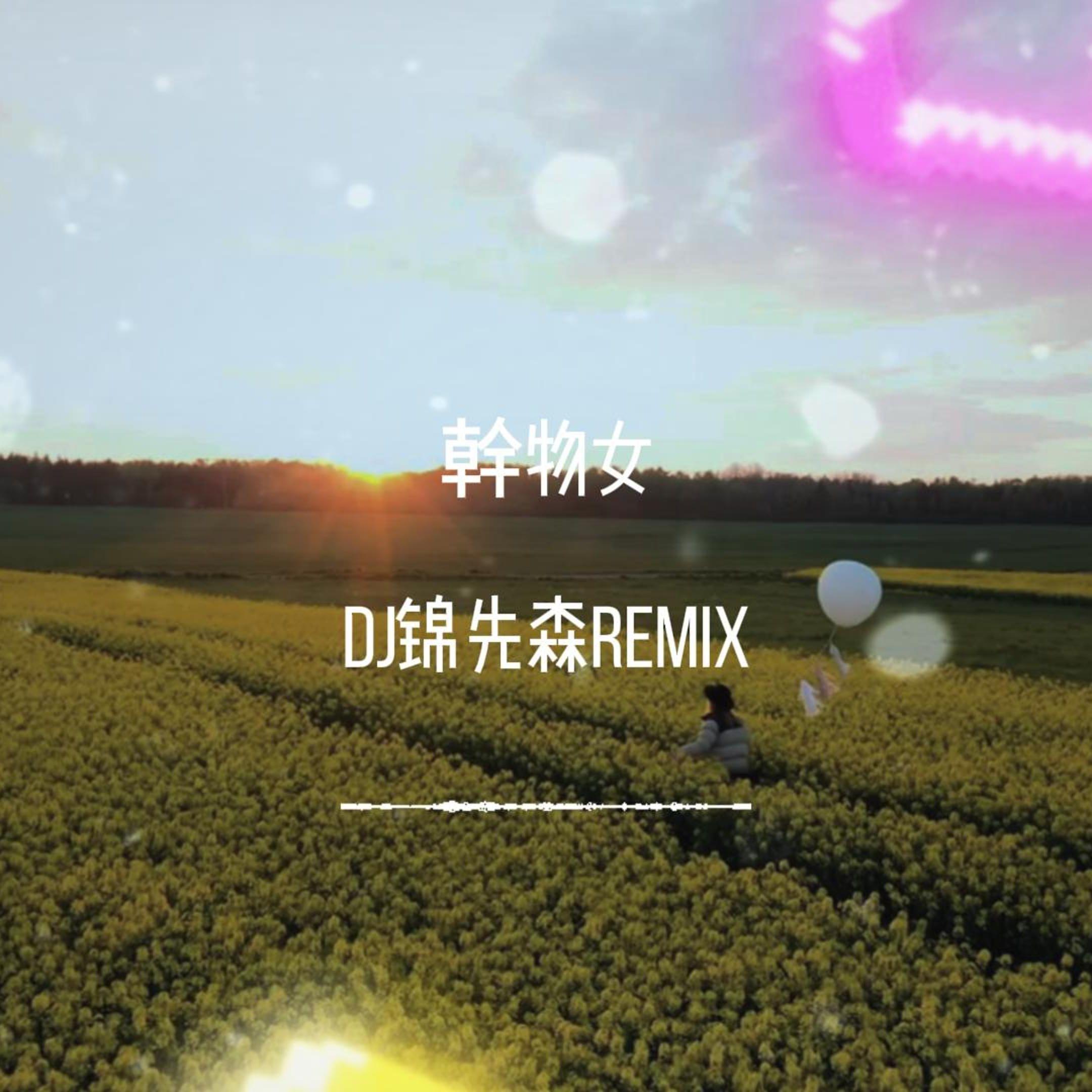 幹物女（DJ锦先森 Remix）