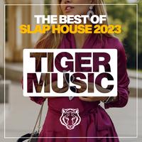 The Best of Slap House 2023