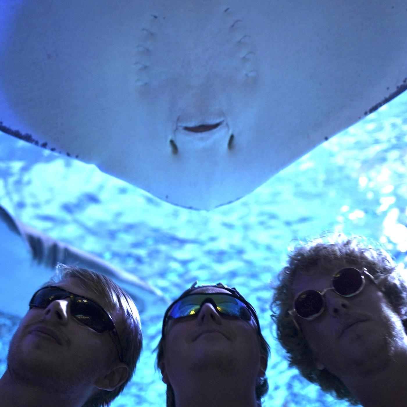 Stingray Rider