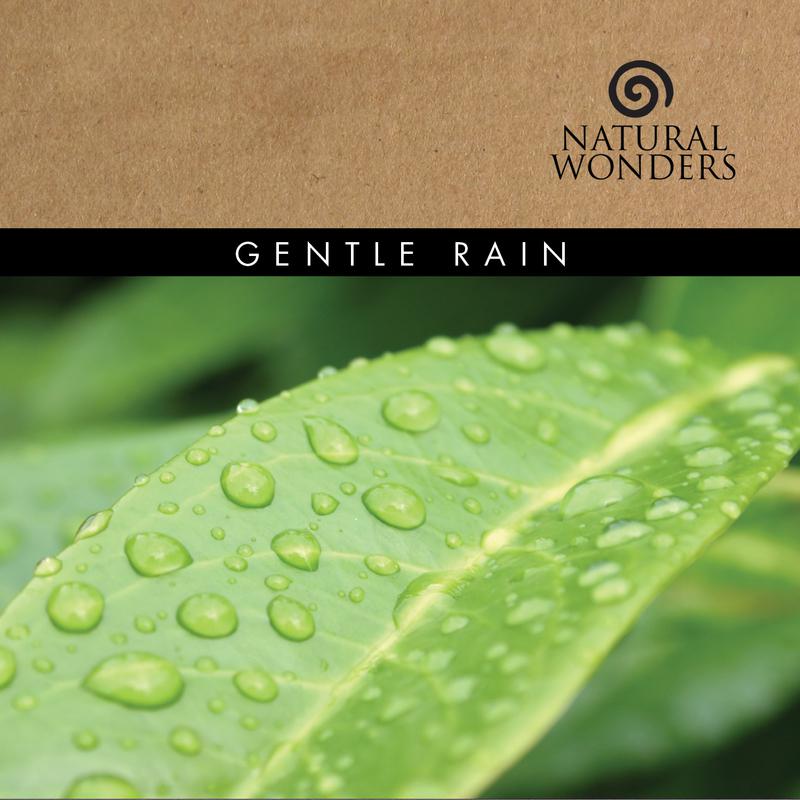 David Arkenstone - Gentle Rain