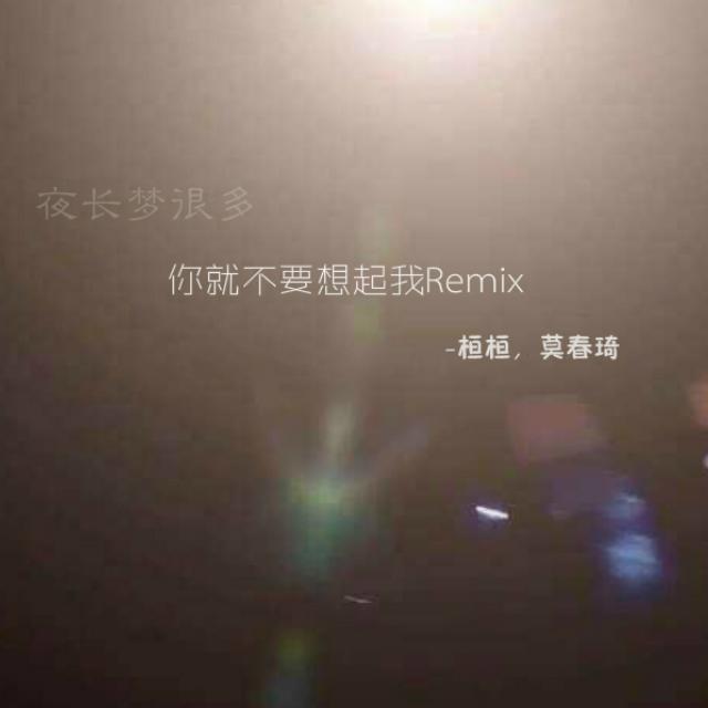 你就不要想起我REMIX专辑