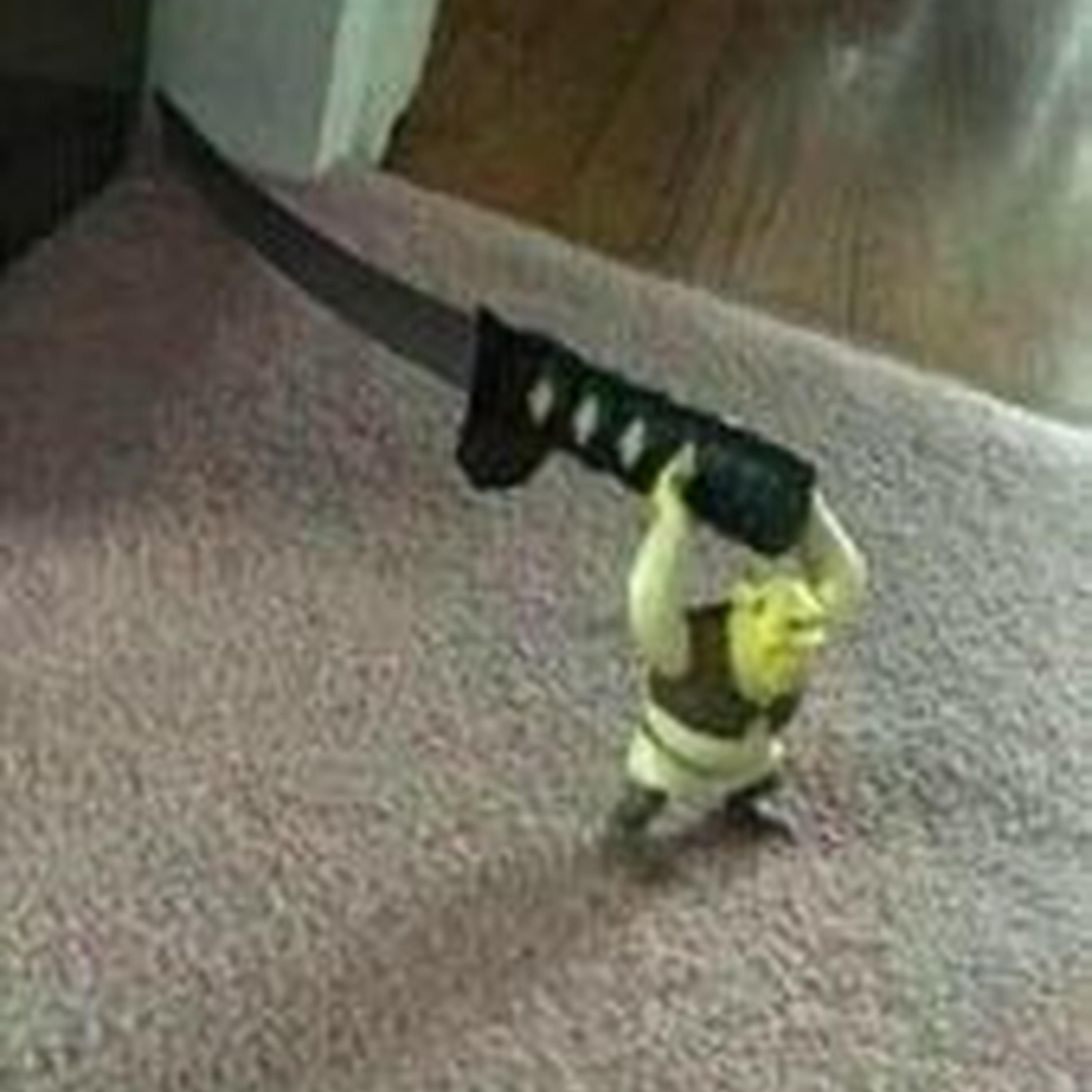 Just A Dream (sped up)