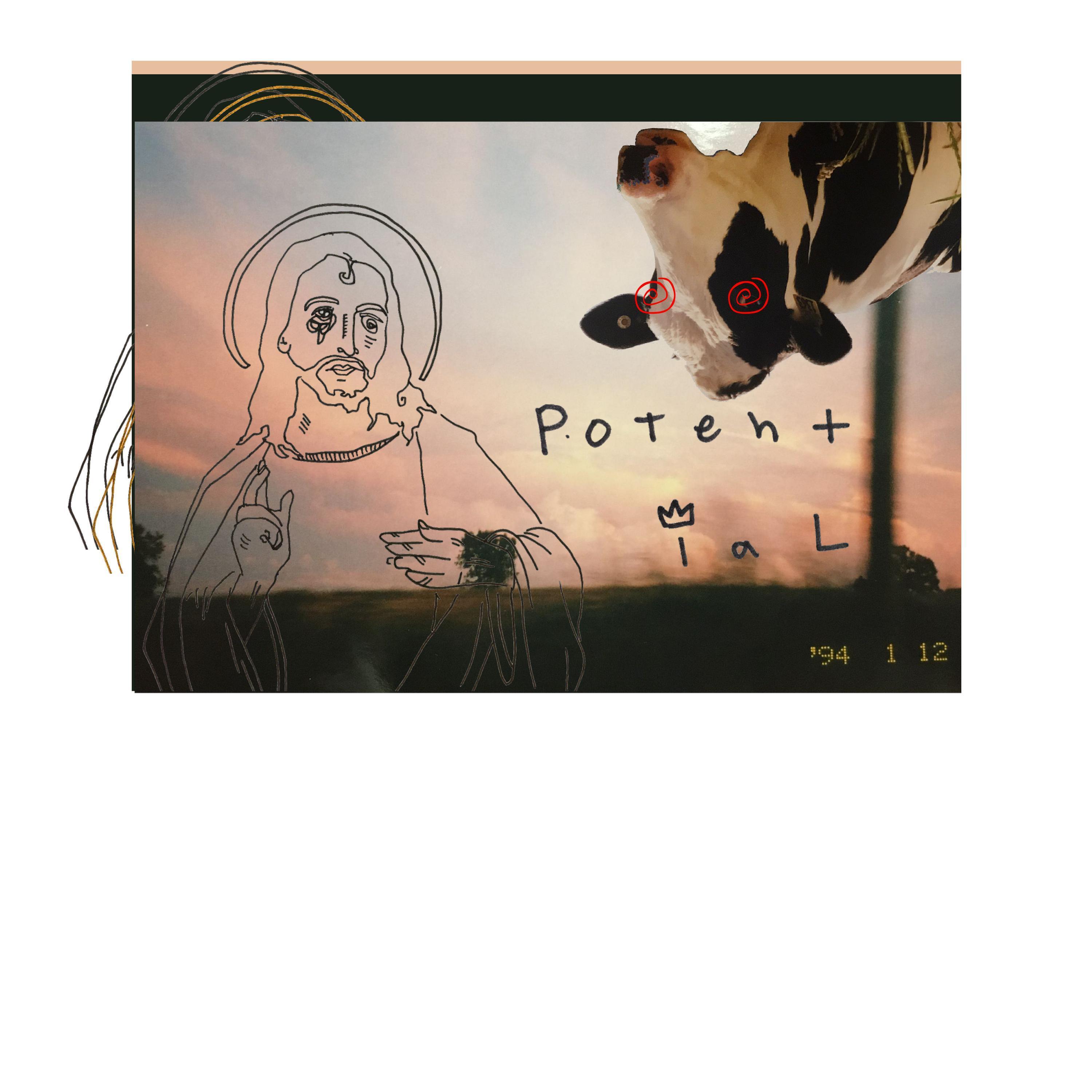 Potential