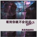 看到你就不会说话 Remix专辑