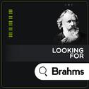 Looking for Brahms专辑