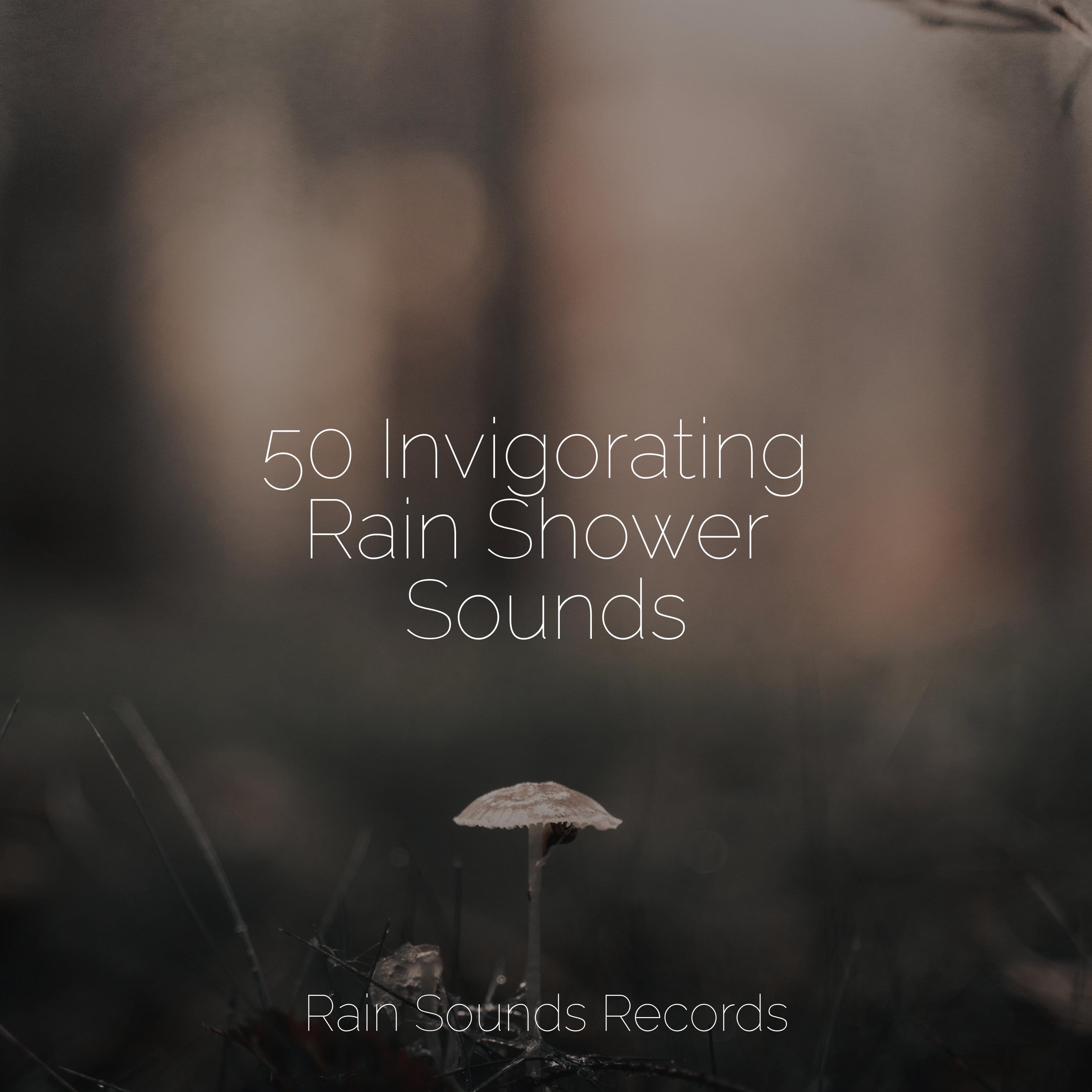 50 Invigorating Rain Shower Sounds