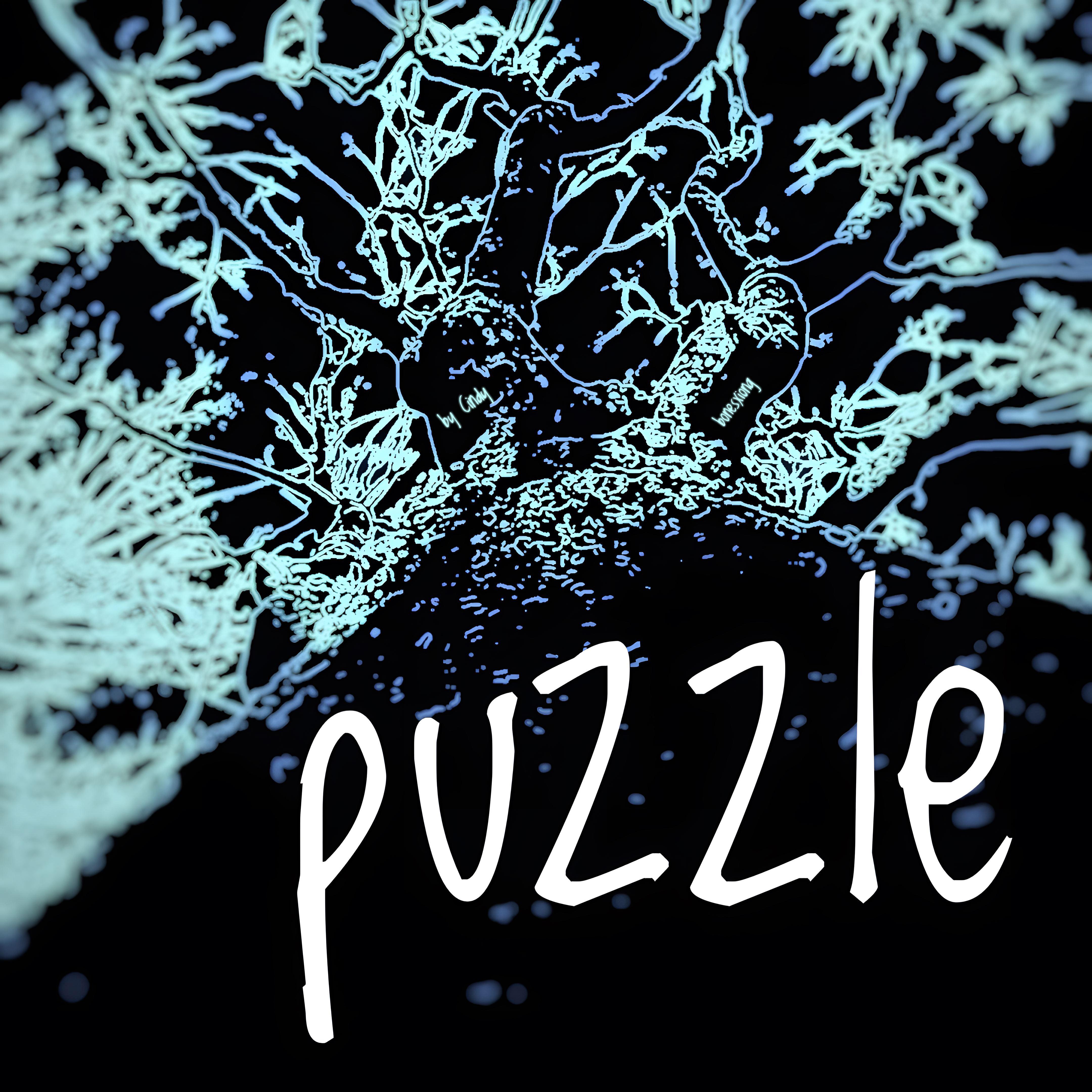 PUZZLE(迷题）专辑