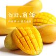 你好，前任
