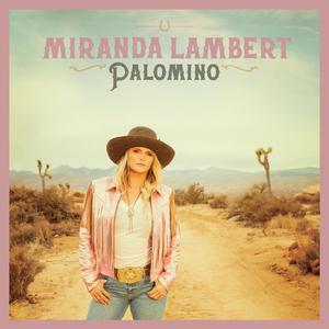Miranda Lambert - Carousel (BK Instrumental) 无和声伴奏 （降1半音）