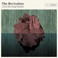 The Revivalists-Wish I Knew You  立体声伴奏