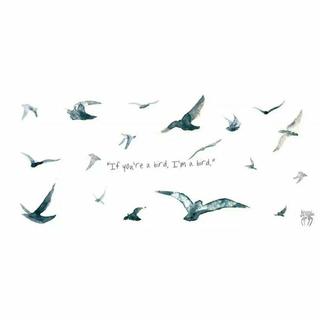 『古风环绕』双声道·共白首