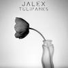 Jalex - Tulipanes