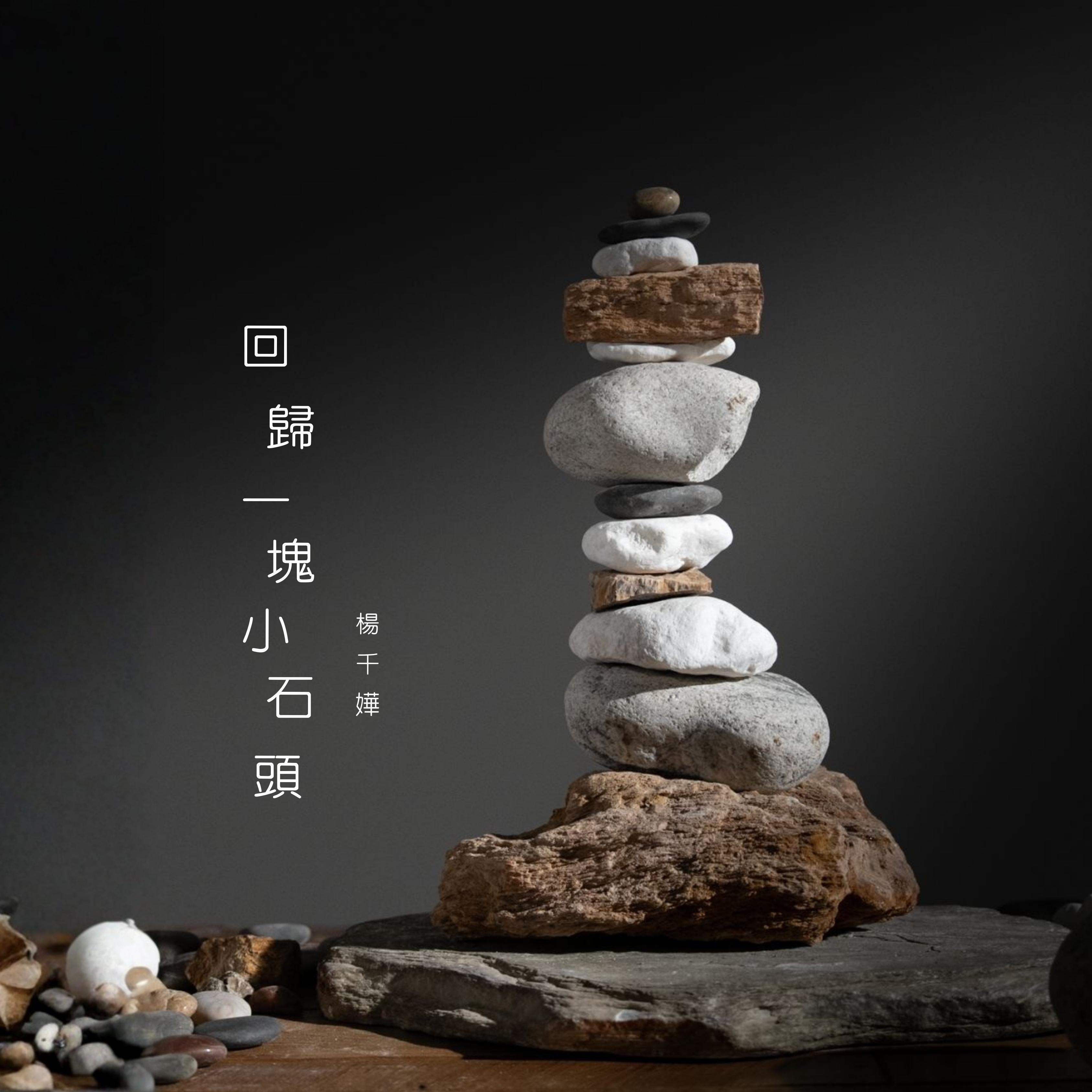 回归一块小石头