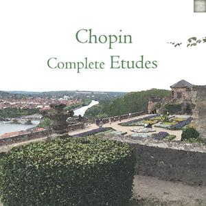 【纯音乐】Chopin Etude Op 10 No 3 In E Major：离别曲 （升2半音）