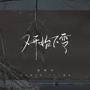 陈柯宇 - 又开始下雪 (和声伴唱)伴奏