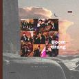 Boomerang
