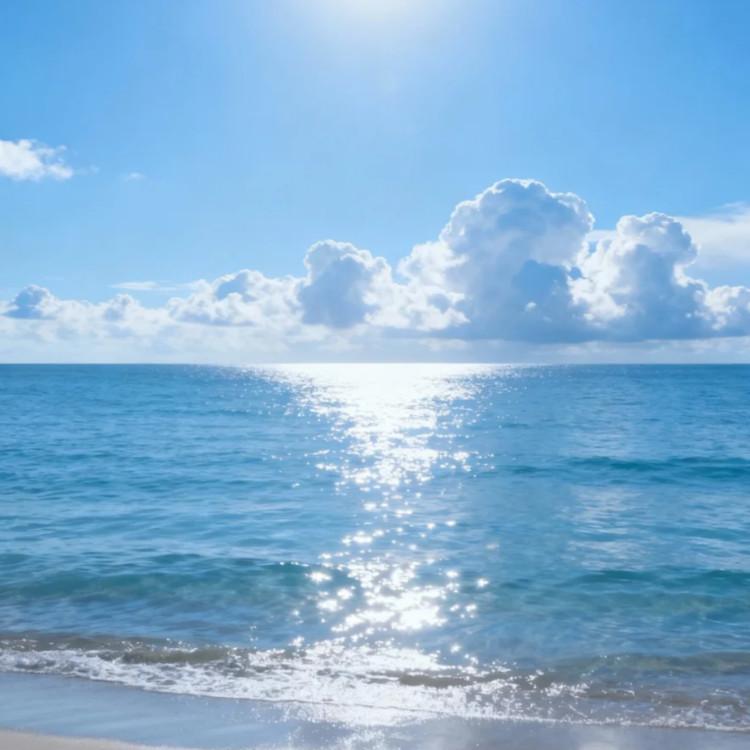 用情 (我用情付诸流水)