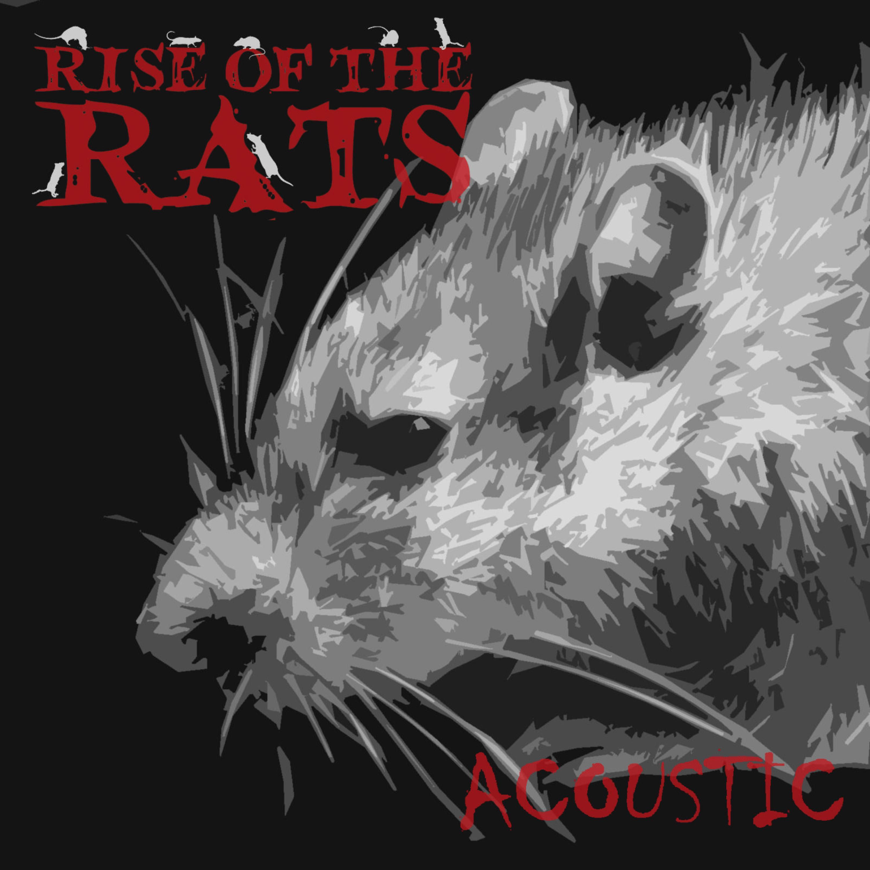 Rise of the rats (Acoustic)
