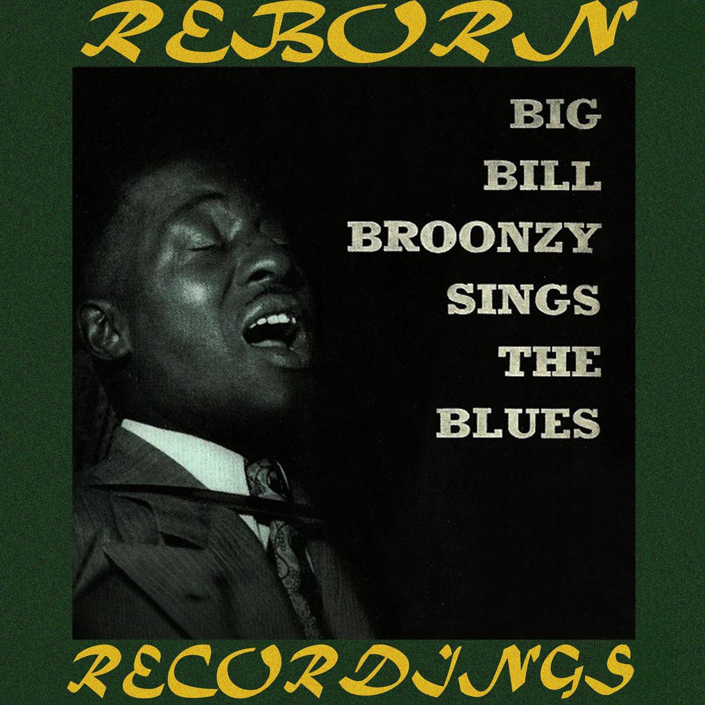 Big Bill Broonzy Sings The Blues (HD Remastered)