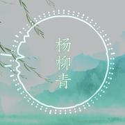 群星-「杨柳青」电音&二胡 feat.柠露（司鼓君 / 柠露 remix）