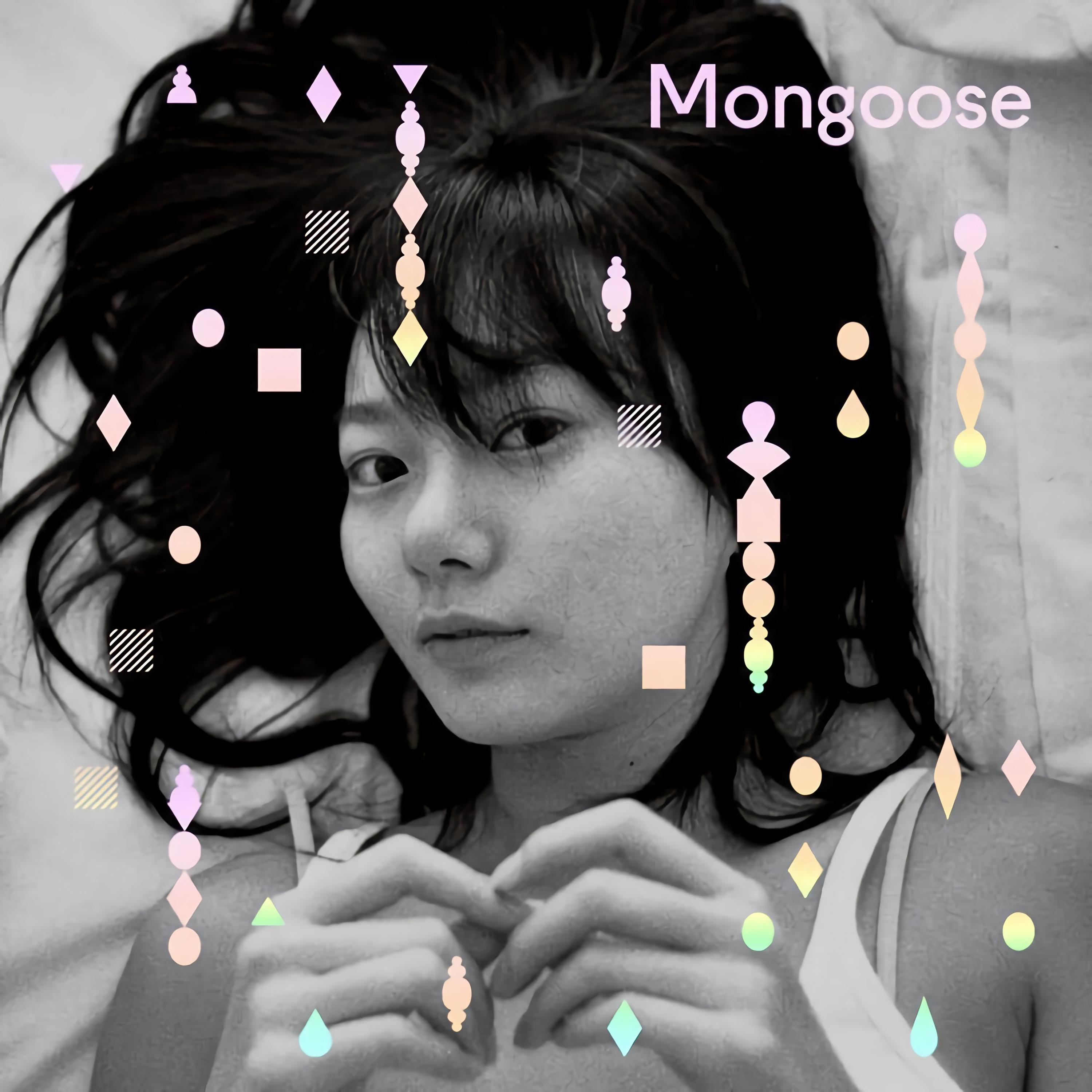 Mongoose - 비밀키스