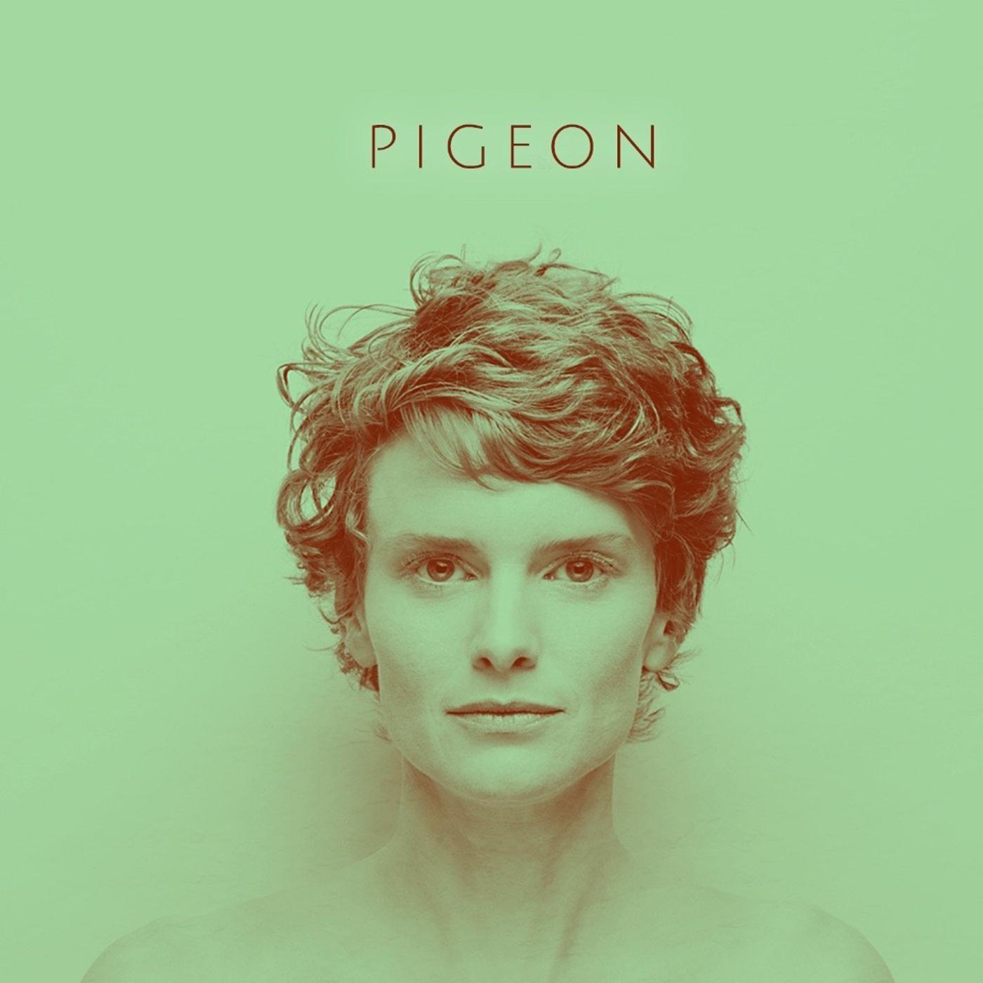 Pigeon