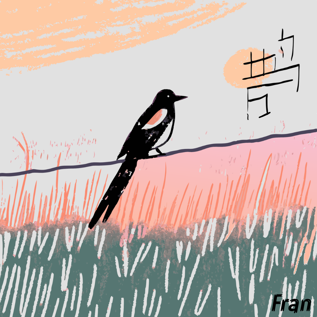 昔鸟