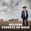 Steve Louw - Streets of Rain