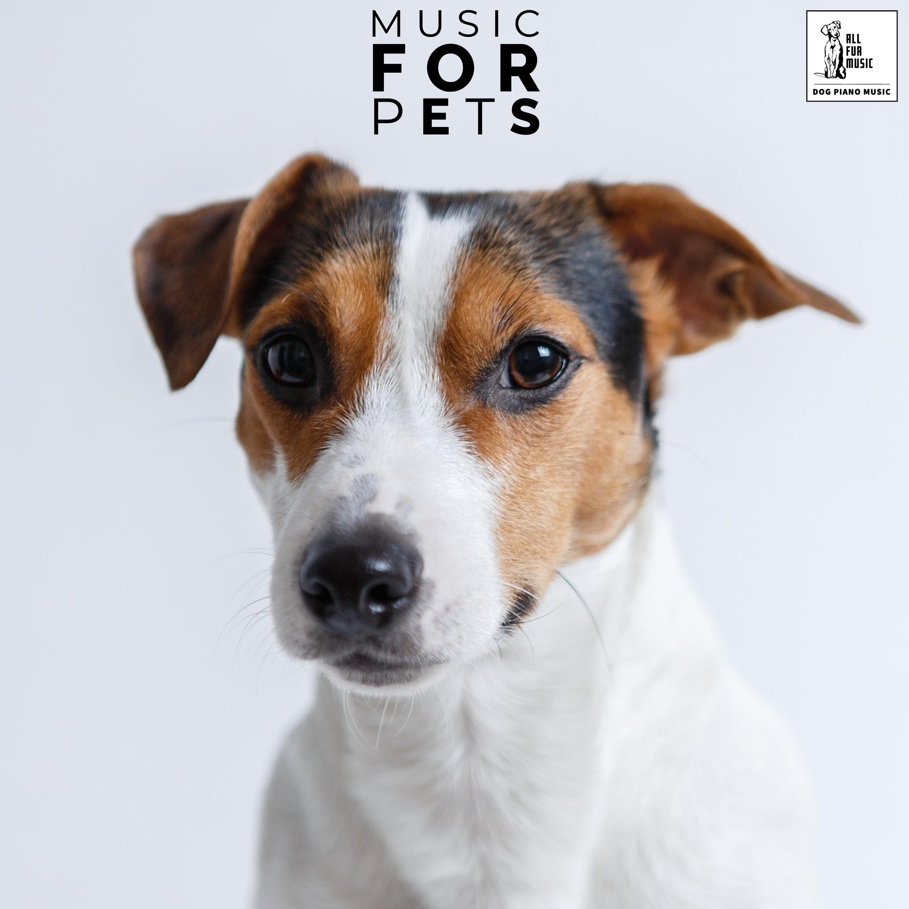 Music For Pets