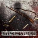 Entropic Uprising专辑