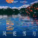风花雪月专辑