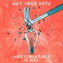 Indestructible专辑