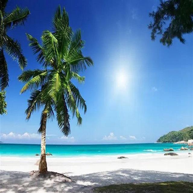夏日的思索