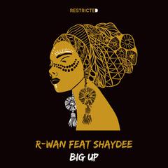 Big Up (feat. Shaydee)