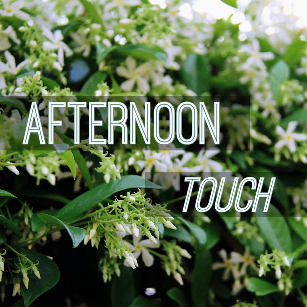 Afternoon Touch专辑