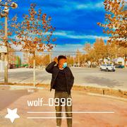 wolf_0998