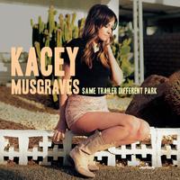 Merry Go Round - Kacey Musgraves (unofficial Instrumental) 无和声伴奏