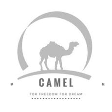 Camel骆驼